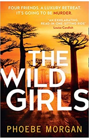 The Wild Girls: The exhilarating and escapist psychological crime thriller from the author of gripping books like The Babysitter!